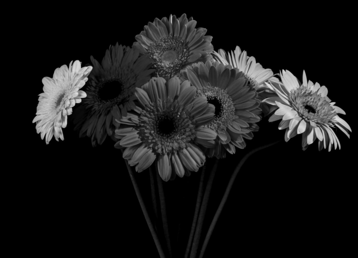 Detailansicht eines floristischen Arrangements
